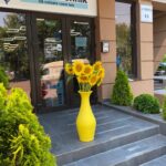 Altdorf Tehnik Moldova