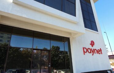 Paynet Services — Consultanță business