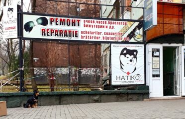 Hatiko Sushi — Restaurante