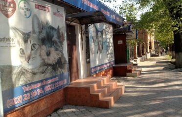 Clinica Veterinară Nicoleta-Lux — Centru — Veterinare