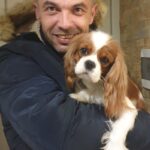Phoenix-Vet — ветеринарная клиника