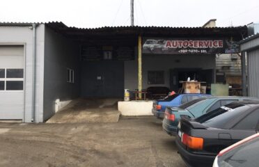 Tor-Auto — Auto parts