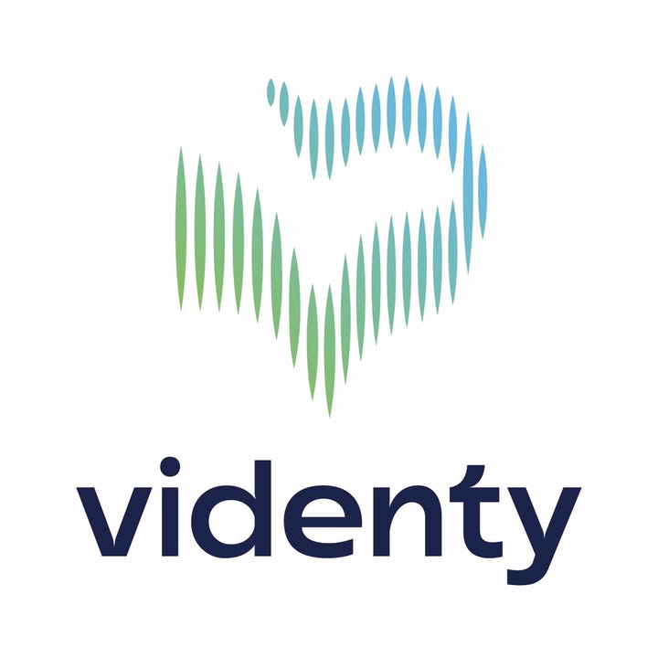 Videnty — логотип