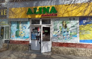 ALINA Cosmetics — Household Chemicals