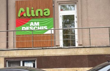 ALINA Cosmetics — Household Chemicals
