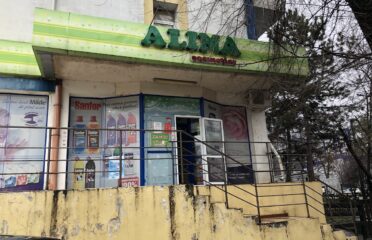 ALINA Cosmetics — Household Chemicals