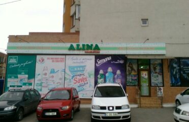 ALINA Cosmetics — Household Chemicals