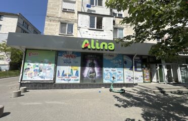 ALINA Cosmetics — Household Chemicals