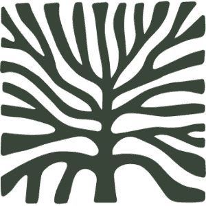 BIOrganic Raw Café — logo