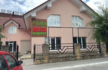 EMA Market & Alina — Supermarketuri