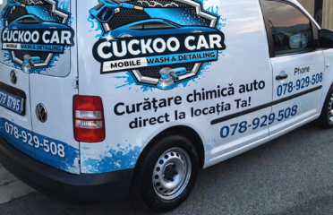 Cuckoo Car Detailing — Detailing auto