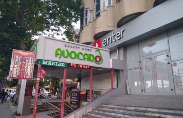 Avocado — Cadouri