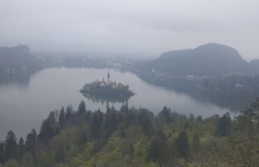 Alpimarin Tur — Agenții de turism