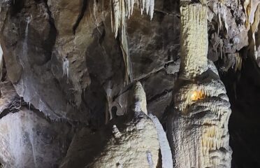 QTUR – Operator de încredere — Agenții de turism