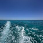 Ecotour – Companie de turism