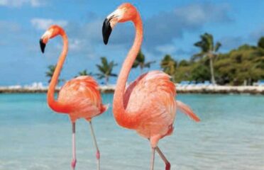 Master Class Tur — Travel agencies