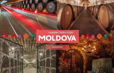 MoldovaTovisit&tours — Ghizi și excursii