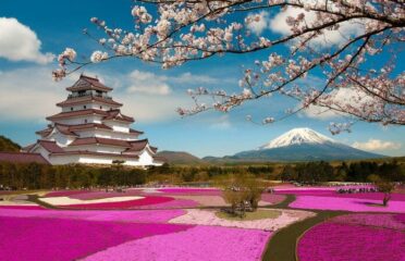 Sakura Tur — Agenții de turism
