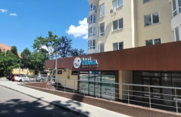 Maxi TRAVEL — Travel agencies
