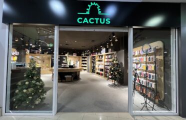 Cactus — Electronics
