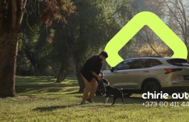 Cars Line — Închirieri auto