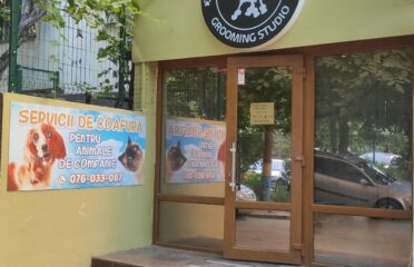 Arlechino Grooming Studio — Груминг-салоны