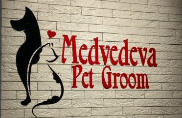 Medvedeva Pet-Groom & Veterinary — Ветеринария