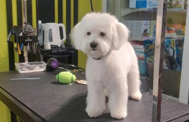 Savanna, bd. Traian 1/3 — Grooming pentru animale