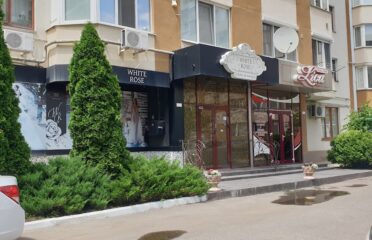 White Rose — Clothing & Footwear