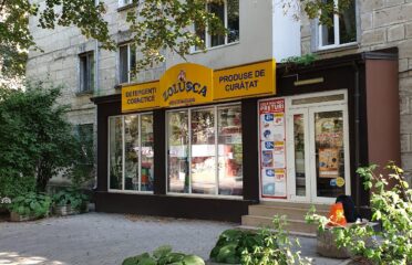 Zolușca — Chimie de uz casnic