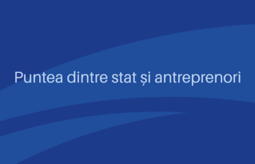 Organizația pentru Dezvoltarea Antreprenoriatului (ODA) — Public agencies and services