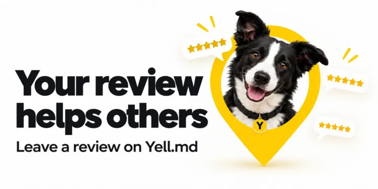 Leave a Review About a Company in Moldova: Your Experience Can Help Others