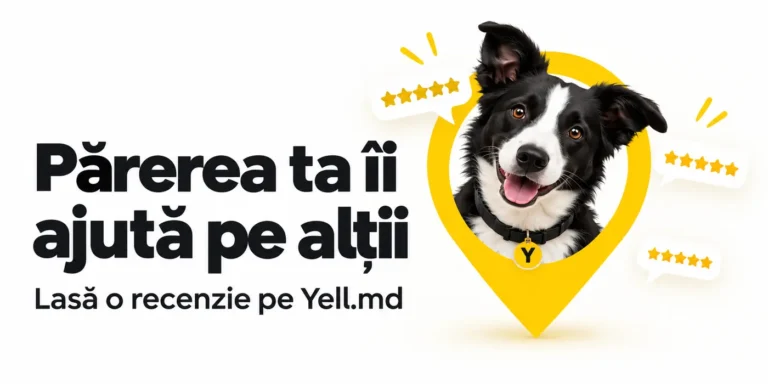 Lasă o recenzie despre o companie din Moldova: experiența ta îi poate ajuta pe alții