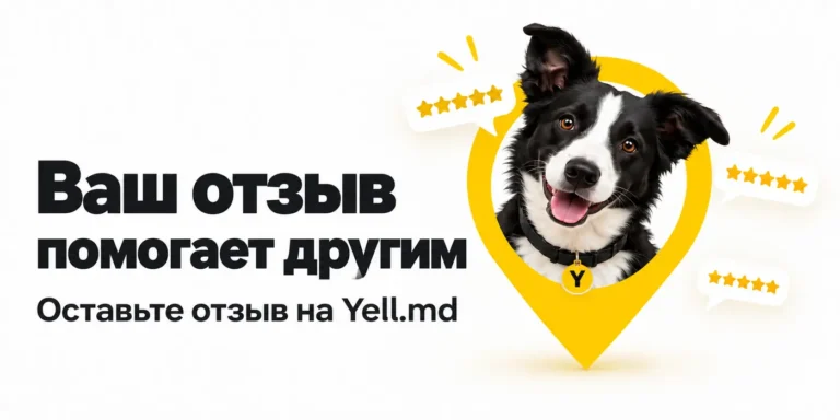 Оставьте отзыв о компании в Молдове: ваш опыт поможет другим