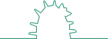 Cactus — logo