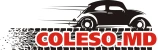 Coleso.md — logo