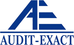 Audit-Exact — logo