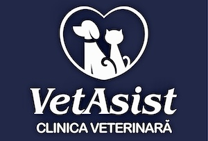 VetAsist — logo