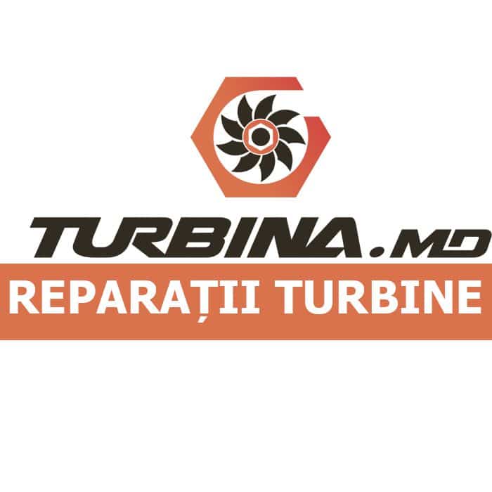 Turbina.md — logo