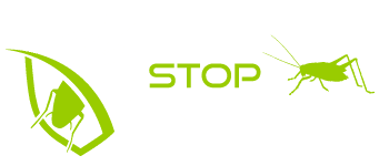Stop Insect — дезинсекция и дератизация — Уборка и санитарная обработка